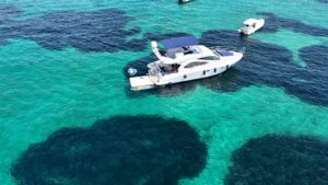 Read more about the article MY STARK